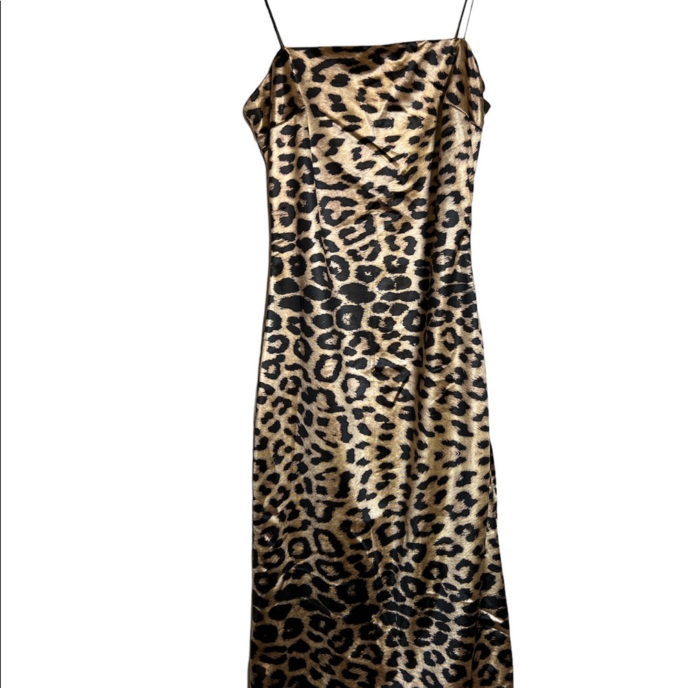 Animal print Fashion Nova